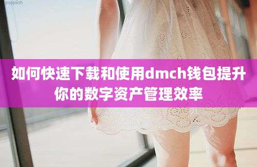 如何快速下载和使用dmch钱包提升你的数字资产管理效率