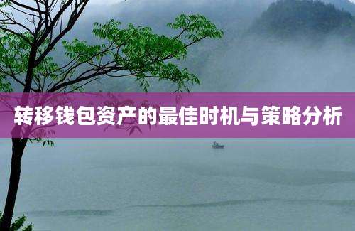 转移钱包资产的最佳时机与策略分析