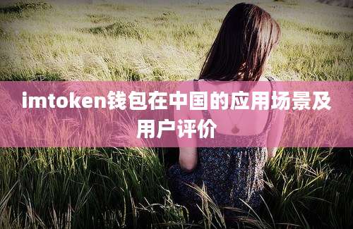 imtoken钱包在中国的应用场景及用户评价