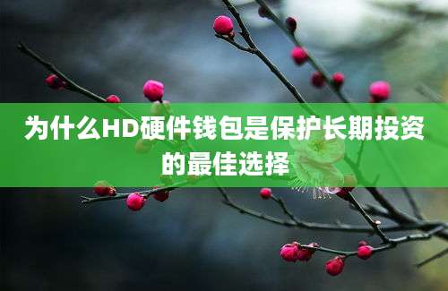 为什么HD硬件钱包是保护长期投资的最佳选择