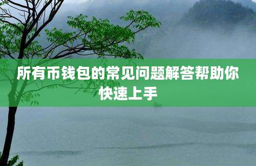 所有币钱包的常见问题解答帮助你快速上手