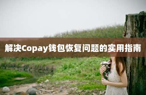 解决Copay钱包恢复问题的实用指南