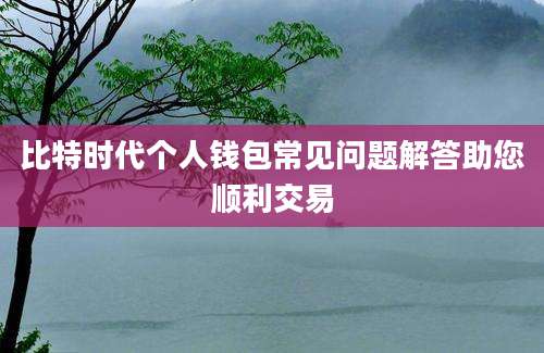 比特时代个人钱包常见问题解答助您顺利交易