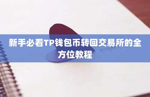 新手必看TP钱包币转回交易所的全方位教程