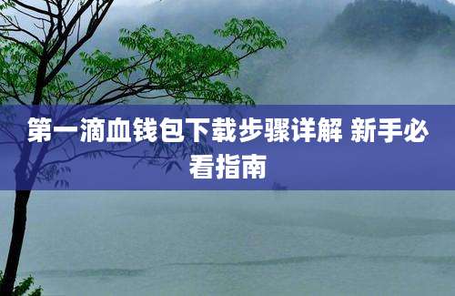 第一滴血钱包下载步骤详解 新手必看指南