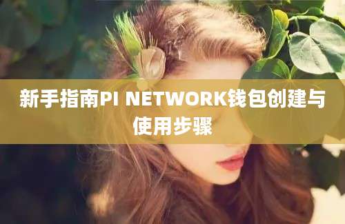 新手指南PI NETWORK钱包创建与使用步骤