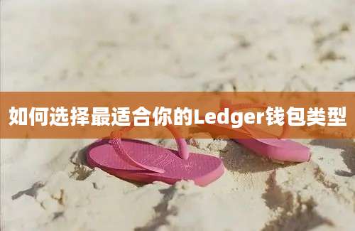 如何选择最适合你的Ledger钱包类型