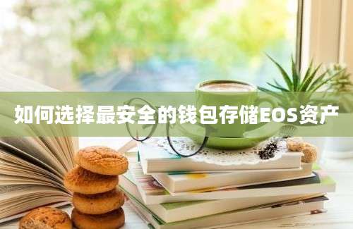 如何选择最安全的钱包存储EOS资产