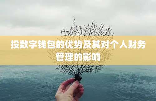 投数字钱包的优势及其对个人财务管理的影响