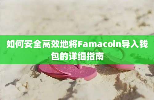 如何安全高效地将Famacoin导入钱包的详细指南