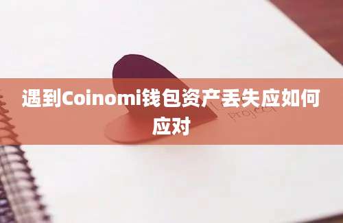 遇到Coinomi钱包资产丢失应如何应对