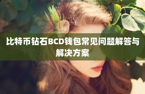 比特币钻石BCD钱包常见问题解答与解决方案