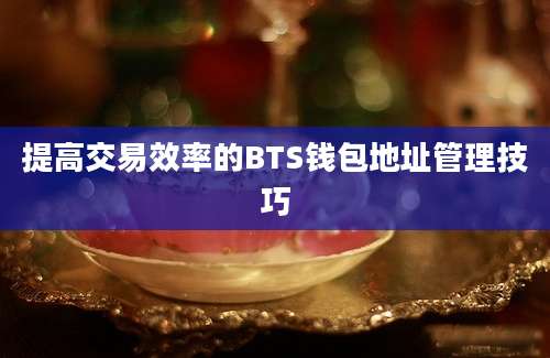 提高交易效率的BTS钱包地址管理技巧