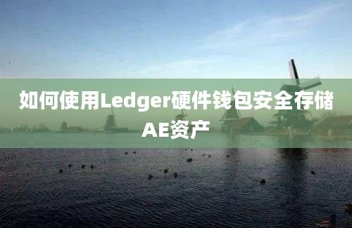 如何使用Ledger硬件钱包安全存储AE资产