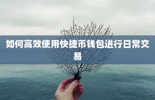 如何高效使用快捷币钱包进行日常交易