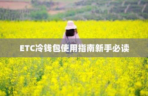 ETC冷钱包使用指南新手必读