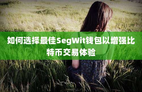 如何选择最佳SegWit钱包以增强比特币交易体验