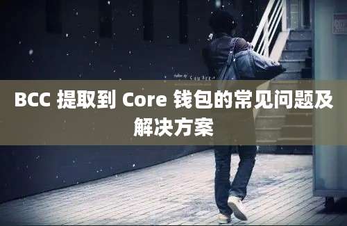 BCC 提取到 Core 钱包的常见问题及解决方案