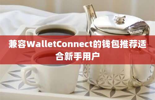 兼容WalletConnect的钱包推荐适合新手用户