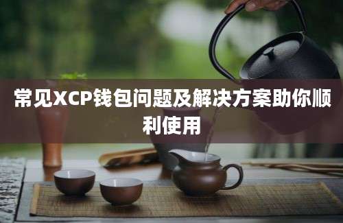 常见XCP钱包问题及解决方案助你顺利使用