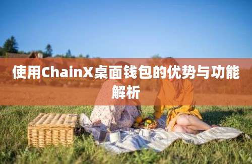 使用ChainX桌面钱包的优势与功能解析