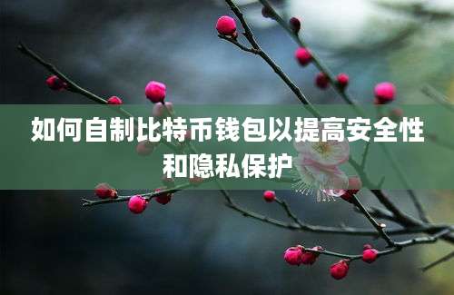 如何自制比特币钱包以提高安全性和隐私保护