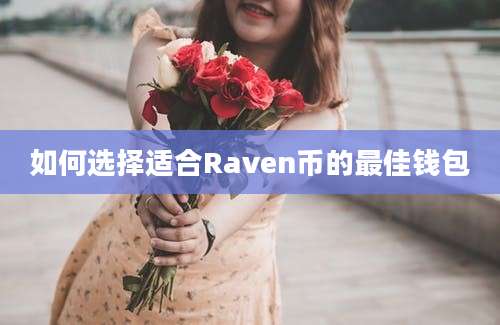 如何选择适合Raven币的最佳钱包