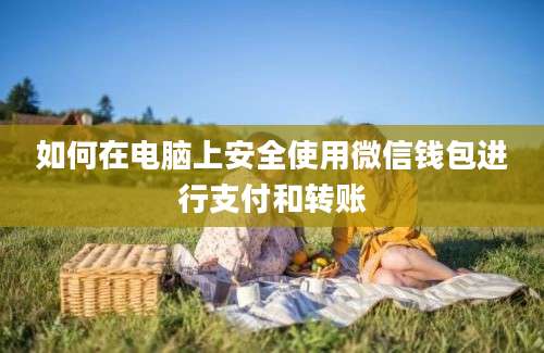 如何在电脑上安全使用微信钱包进行支付和转账