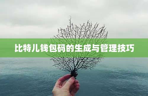 比特儿钱包码的生成与管理技巧