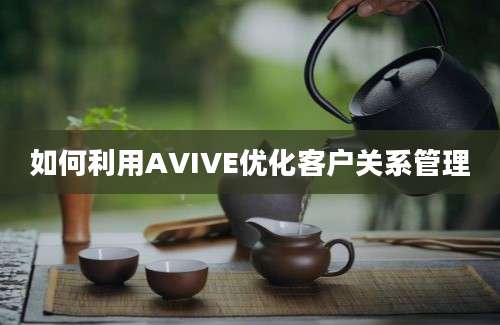 如何利用AVIVE优化客户关系管理