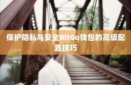 保护隐私与安全BitGo钱包的高级配置技巧