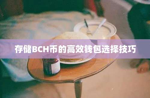 存储BCH币的高效钱包选择技巧