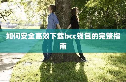 如何安全高效下载bcc钱包的完整指南