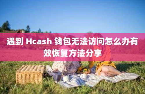 遇到 Hcash 钱包无法访问怎么办有效恢复方法分享