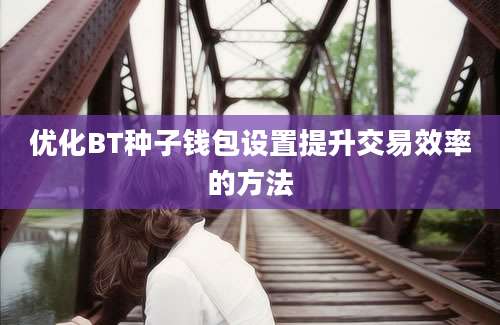 优化BT种子钱包设置提升交易效率的方法