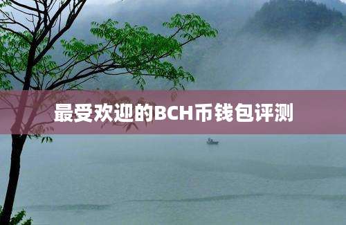 最受欢迎的BCH币钱包评测