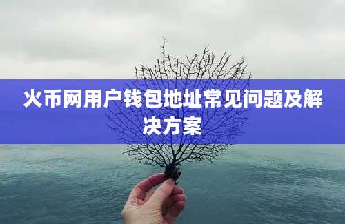 火币网用户钱包地址常见问题及解决方案