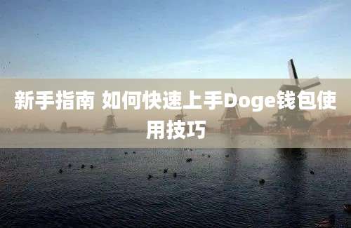 新手指南 如何快速上手Doge钱包使用技巧