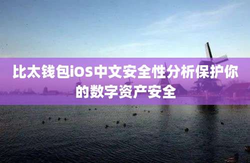 比太钱包iOS中文安全性分析保护你的数字资产安全