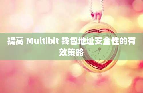 提高 Multibit 钱包地址安全性的有效策略