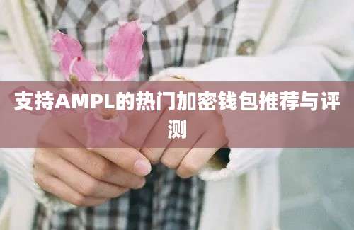 支持AMPL的热门加密钱包推荐与评测