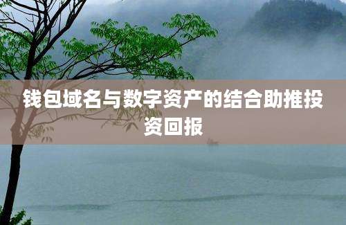 钱包域名与数字资产的结合助推投资回报