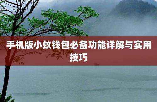 手机版小蚁钱包必备功能详解与实用技巧