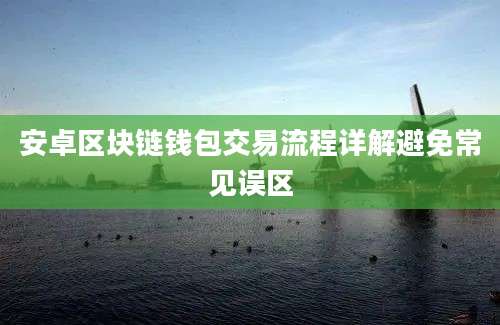 安卓区块链钱包交易流程详解避免常见误区