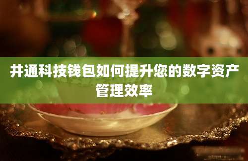 井通科技钱包如何提升您的数字资产管理效率