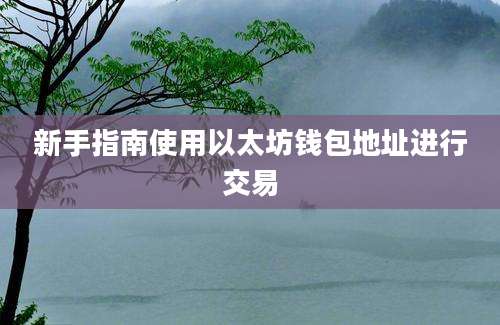 新手指南使用以太坊钱包地址进行交易