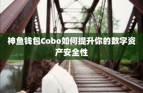 神鱼钱包Cobo如何提升你的数字资产安全性