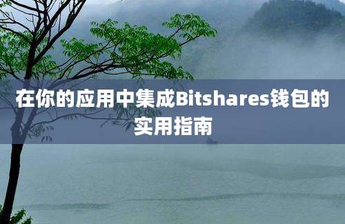 在你的应用中集成Bitshares钱包的实用指南