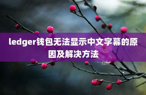 ledger钱包无法显示中文字幕的原因及解决方法