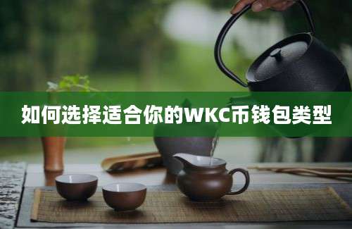 如何选择适合你的WKC币钱包类型